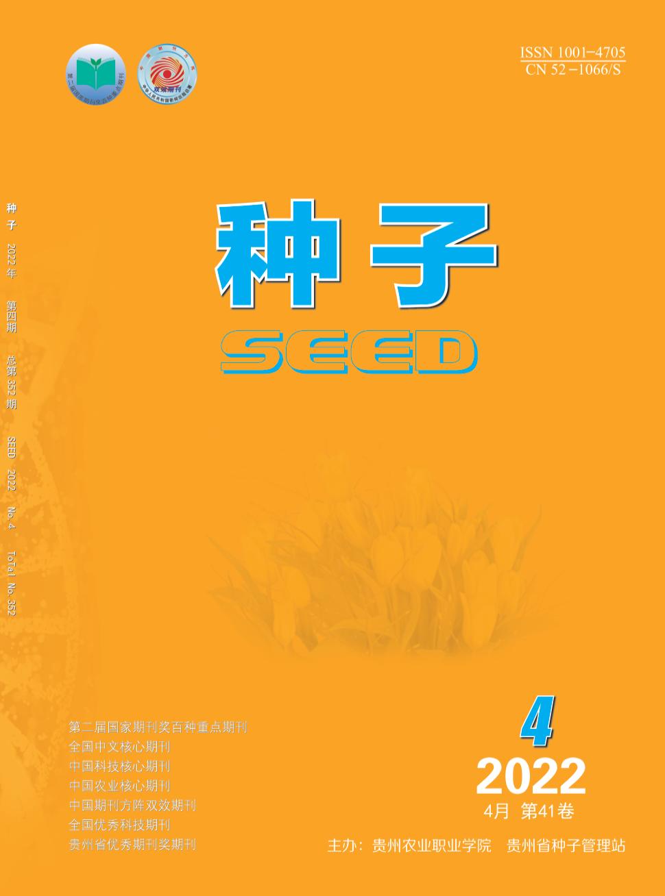 种子